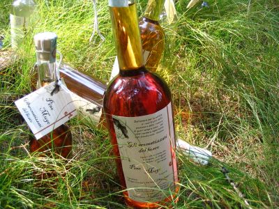 Bottiglie di liquori tra la natura